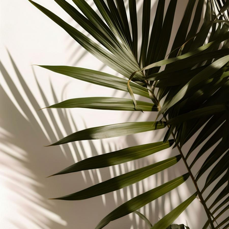 a close up of a plant