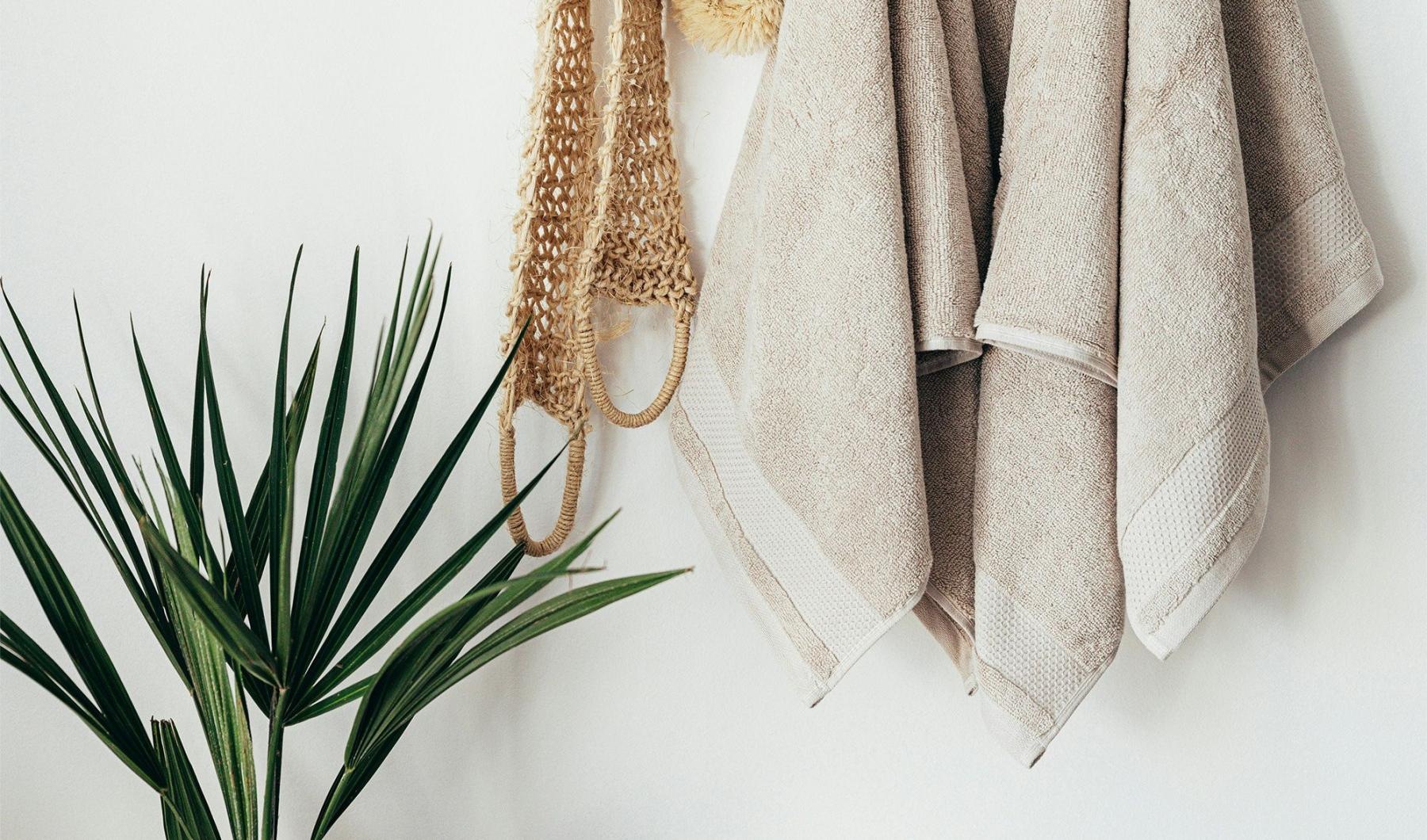 towels hanging on a wall near a plant